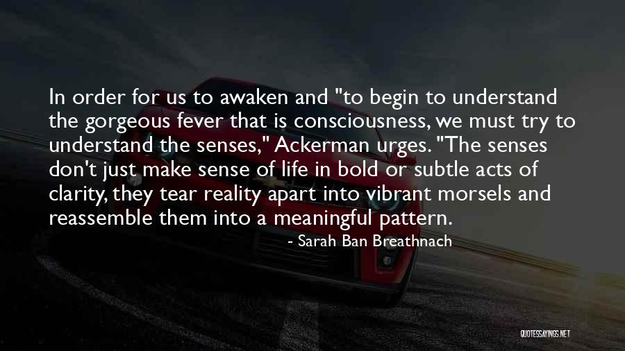 Camelthorn Beer Quotes By Sarah Ban Breathnach Camelthorn Beer Quotes By Sarah Ban Breathnach
