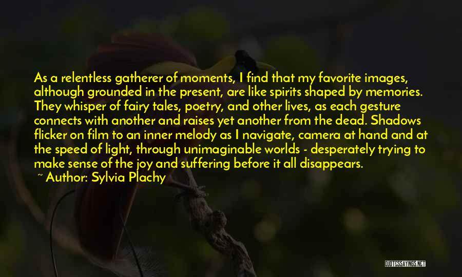 Camera In Hand Quotes By Sylvia Plachy