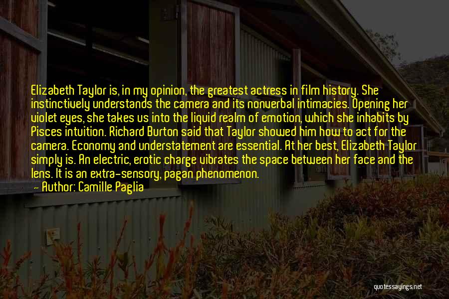 Camera Lens Quotes By Camille Paglia