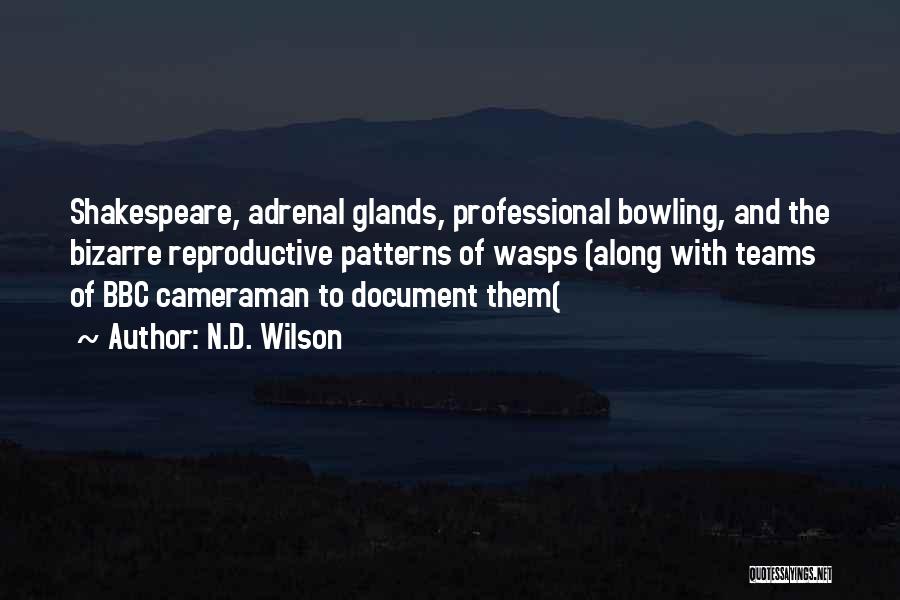 Cameraman Quotes By N.D. Wilson