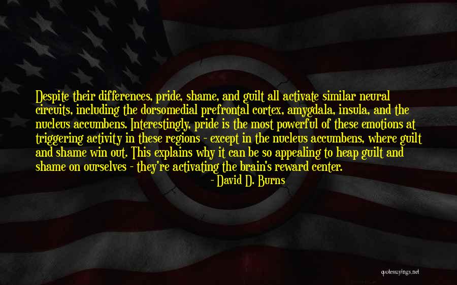 Cameratismo Quotes By David D. Burns