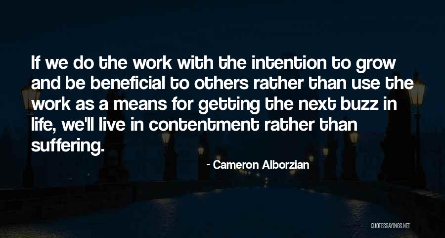 Cameron Alborzian Quotes 2212247