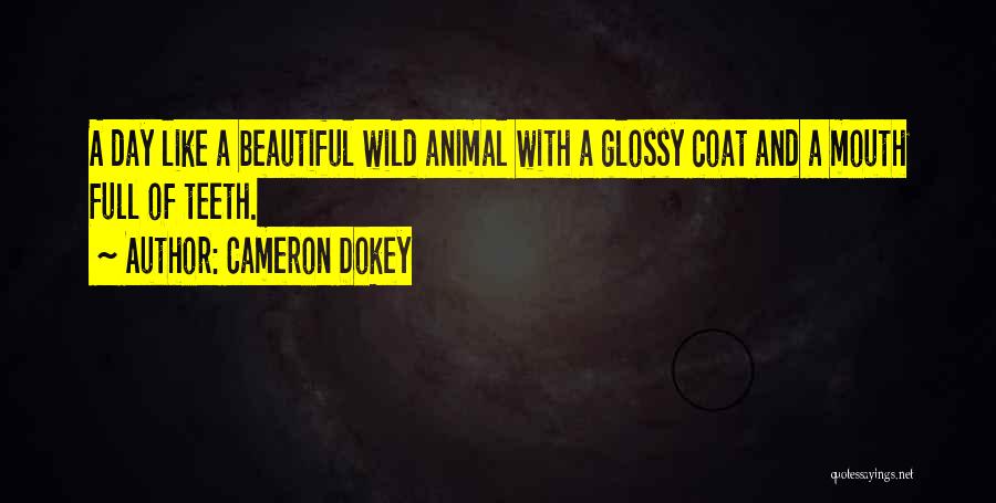 Cameron Dokey Quotes 1002673