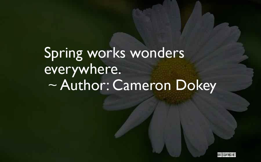 Cameron Dokey Quotes 1141022