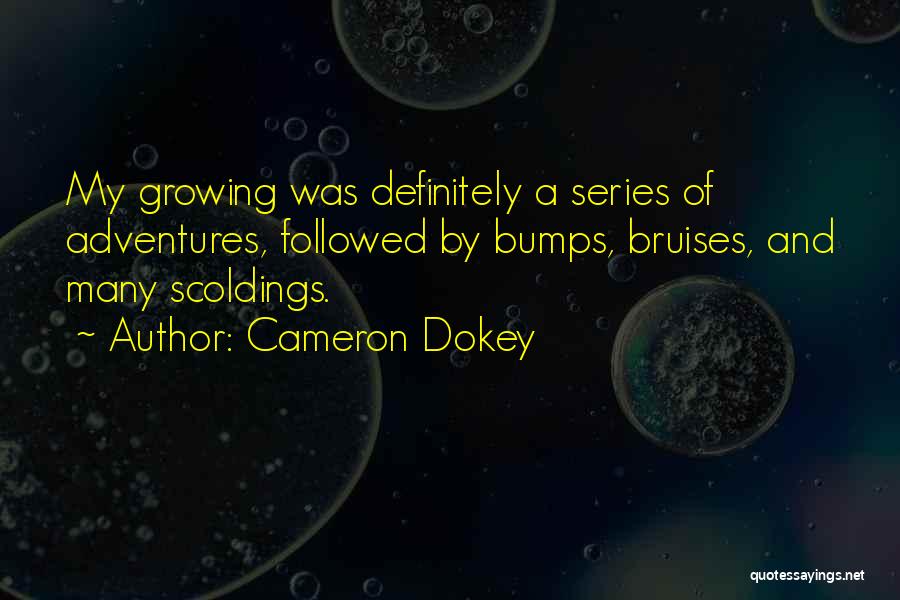 Cameron Dokey Quotes 119881