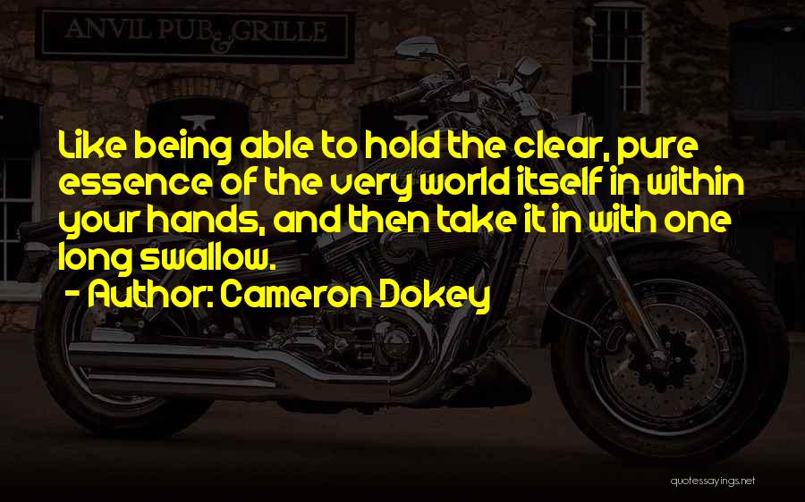 Cameron Dokey Quotes 1608721