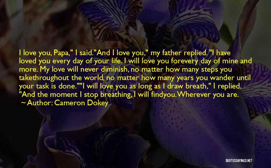 Cameron Dokey Quotes 271629