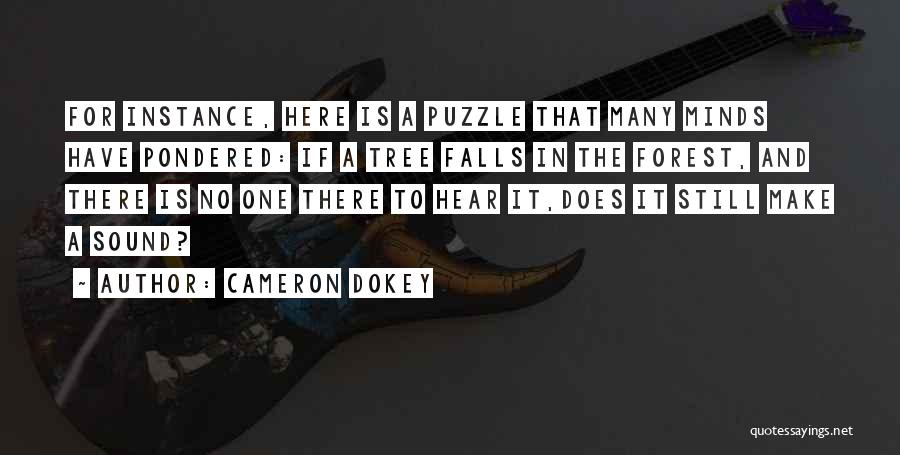 Cameron Dokey Quotes 576798