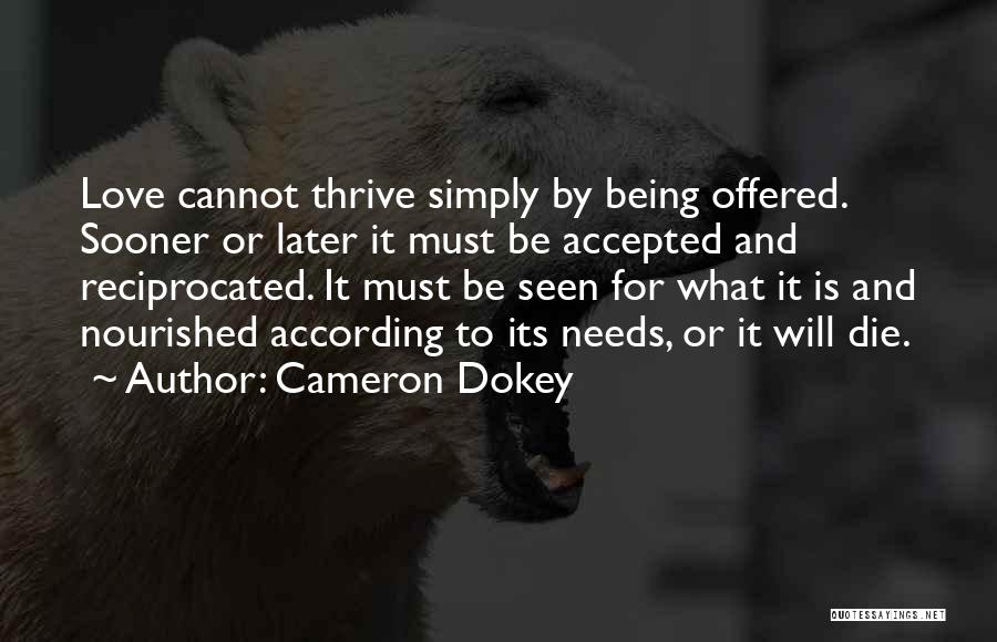 Cameron Dokey Quotes 944286