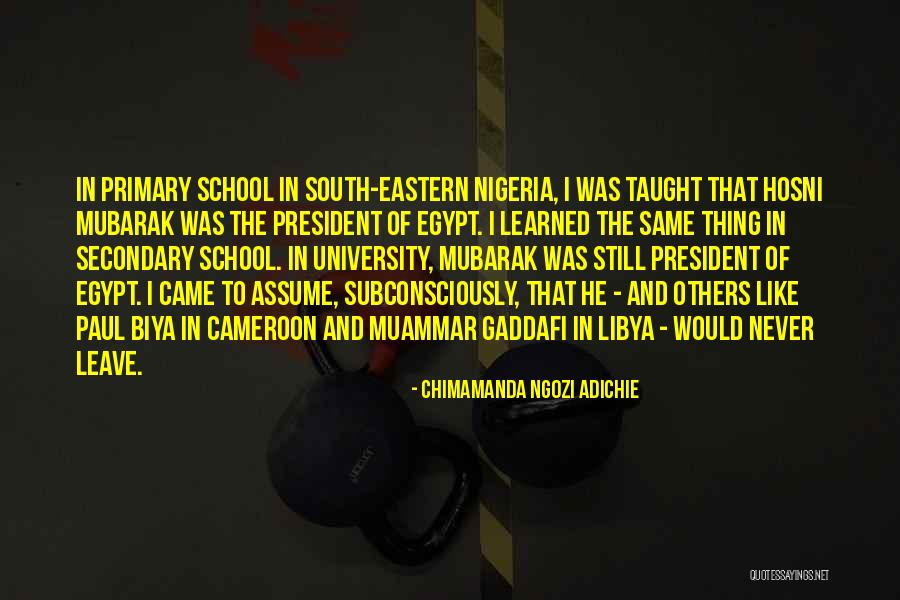 Cameroon Quotes By Chimamanda Ngozi Adichie