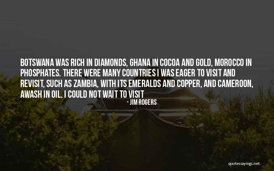 Cameroon Quotes By Jim Rogers