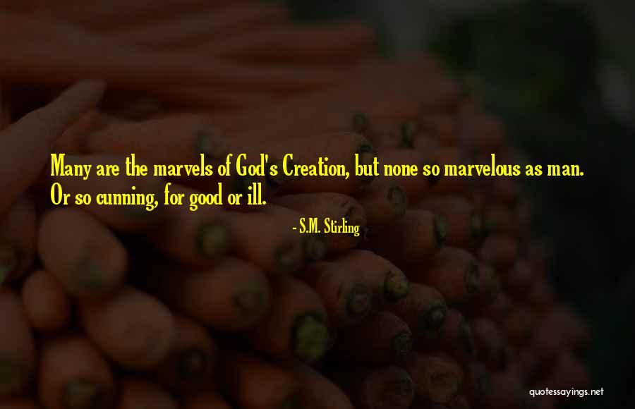 Camicia Da Quotes By S.M. Stirling Camicia Da Quotes By S.M. Stirling