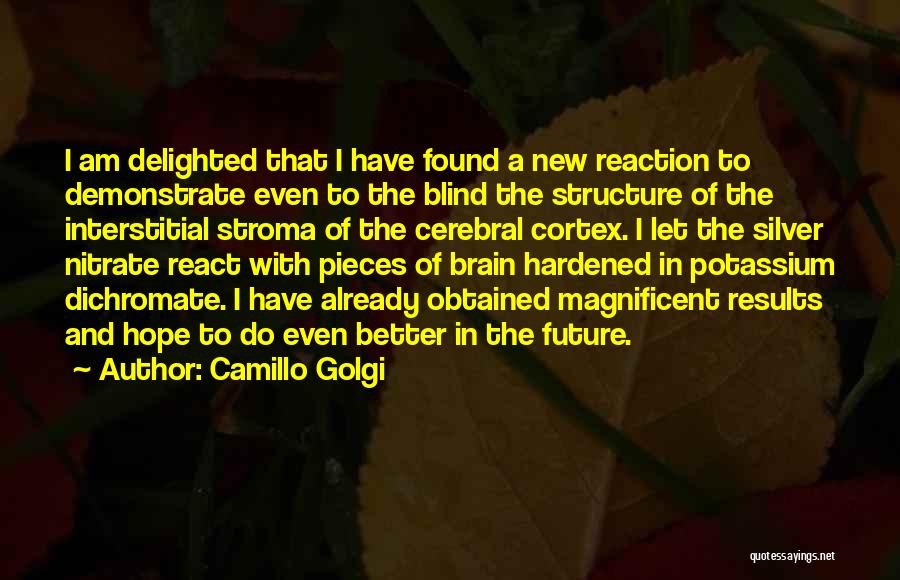 Camillo Golgi Quotes 2041201