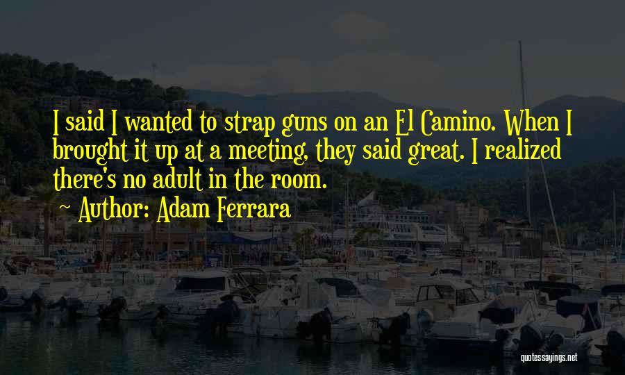 Camino Quotes By Adam Ferrara