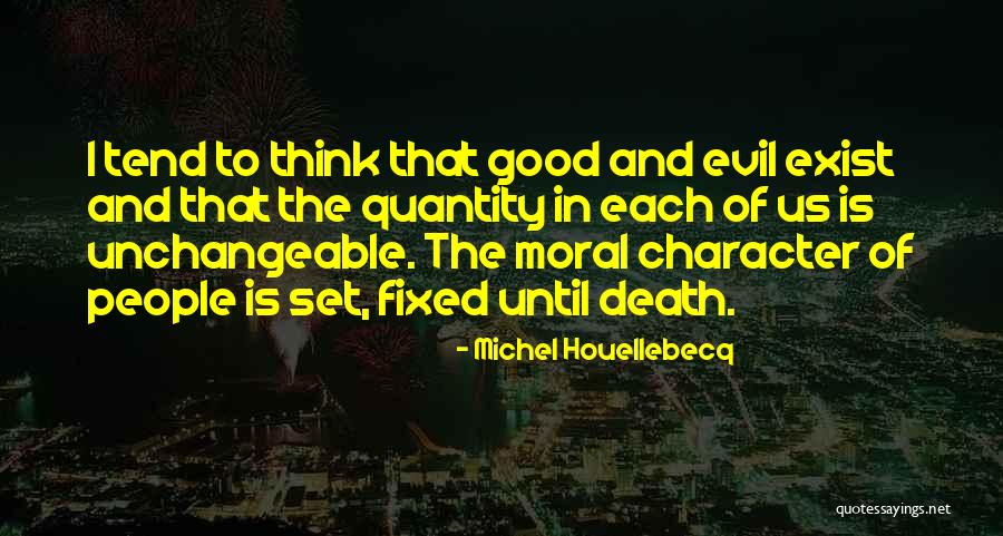 Camisola Amarela Quotes By Michel Houellebecq Camisola Amarela Quotes By Michel Houellebecq