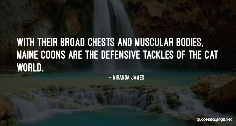 Camisoles Quotes By Miranda James Camisoles Quotes By Miranda James