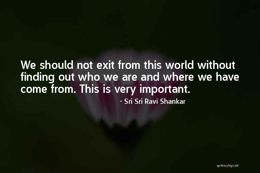 Cammaert Trucks Quotes By Sri Sri Ravi Shankar Cammaert Trucks Quotes By Sri Sri Ravi Shankar