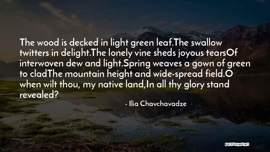 Cammies Muskogee Quotes By Ilia Chavchavadze Cammies Muskogee Quotes By Ilia Chavchavadze