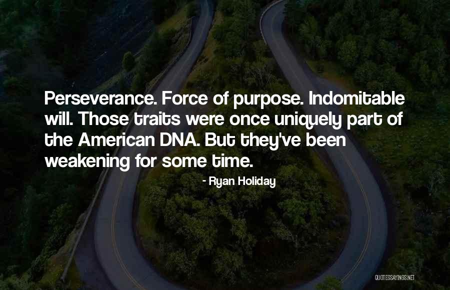 Cammisa Bulbs Quotes By Ryan Holiday Cammisa Bulbs Quotes By Ryan Holiday