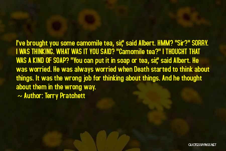 Camomile Tea Quotes By Terry Pratchett