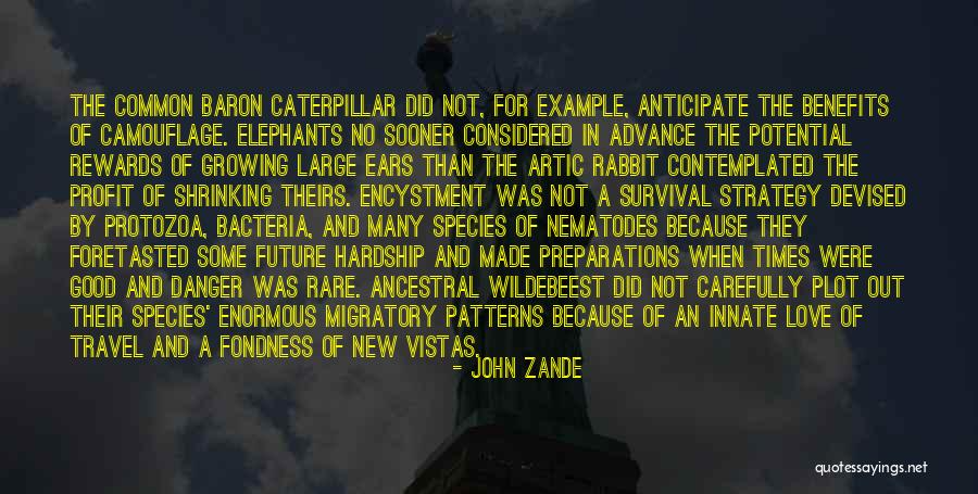Camouflage Love Quotes By John Zande Camouflage Love Quotes By John Zande