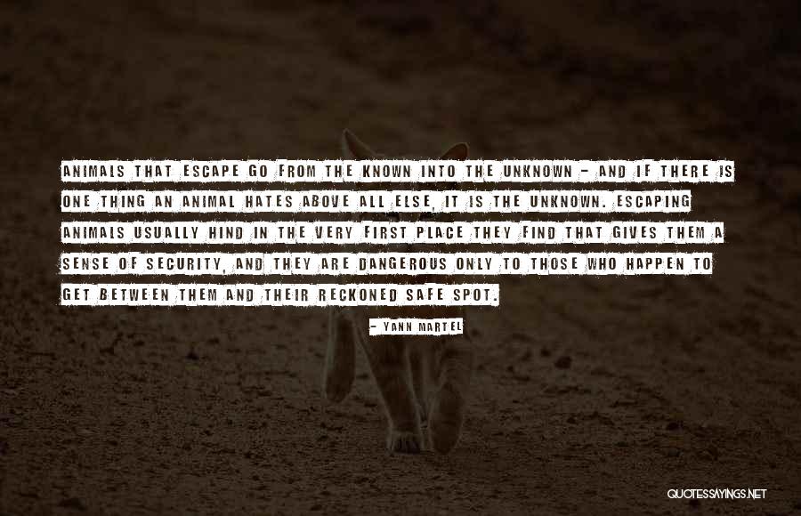 Camouflaging Under Eye Quotes By Yann Martel Camouflaging Under Eye Quotes By Yann Martel