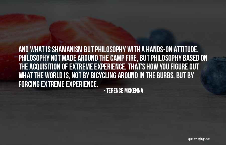 Camp Out Quotes By Terence McKenna