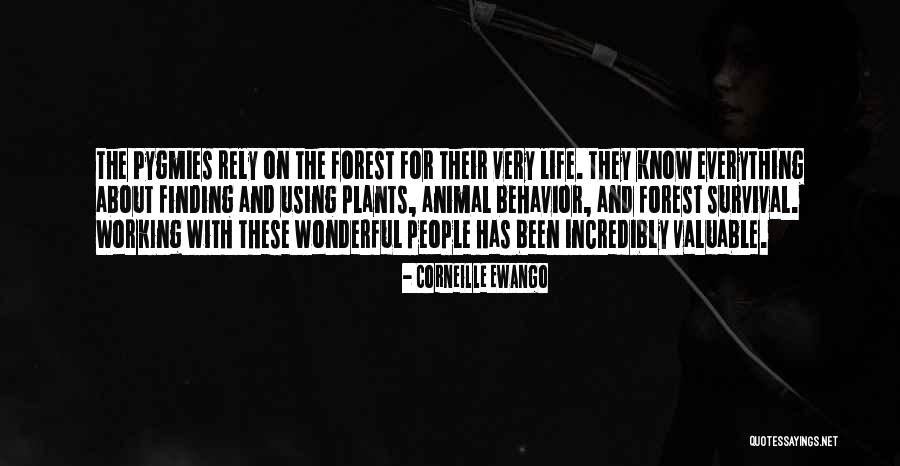 Campaamento Quotes By Corneille Ewango Campaamento Quotes By Corneille Ewango
