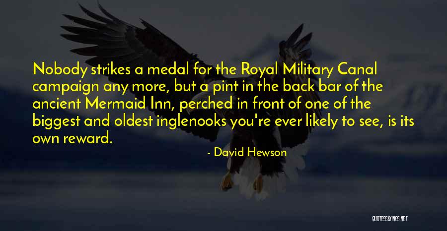 Campaign Quotes By David Hewson