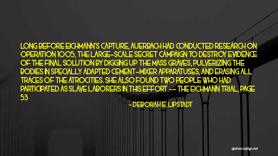 Campaign Quotes By Deborah E. Lipstadt