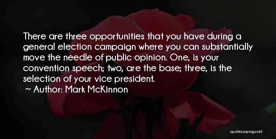 Campaign Speech Quotes By Mark McKinnon