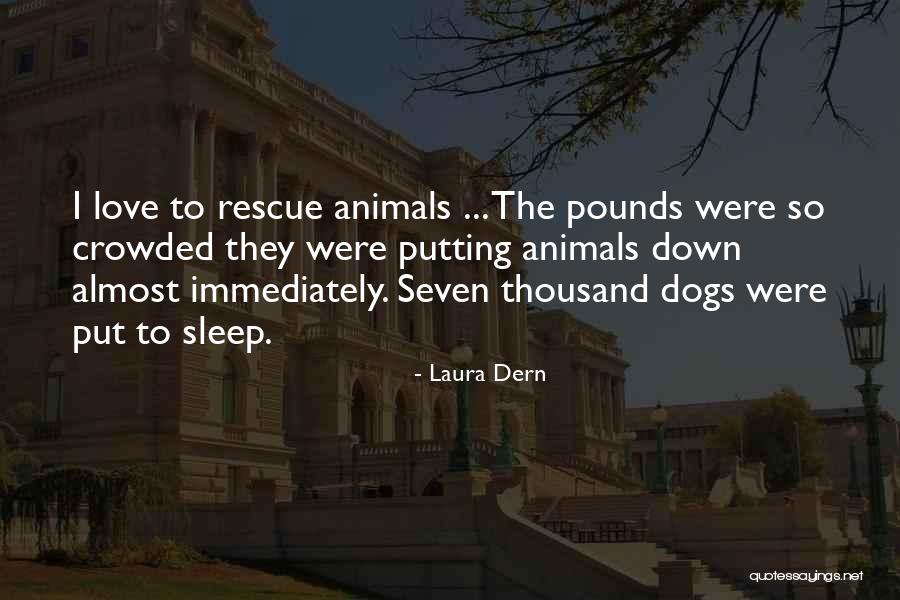 Campaigner By Protus Quotes By Laura Dern Campaigner By Protus Quotes By Laura Dern