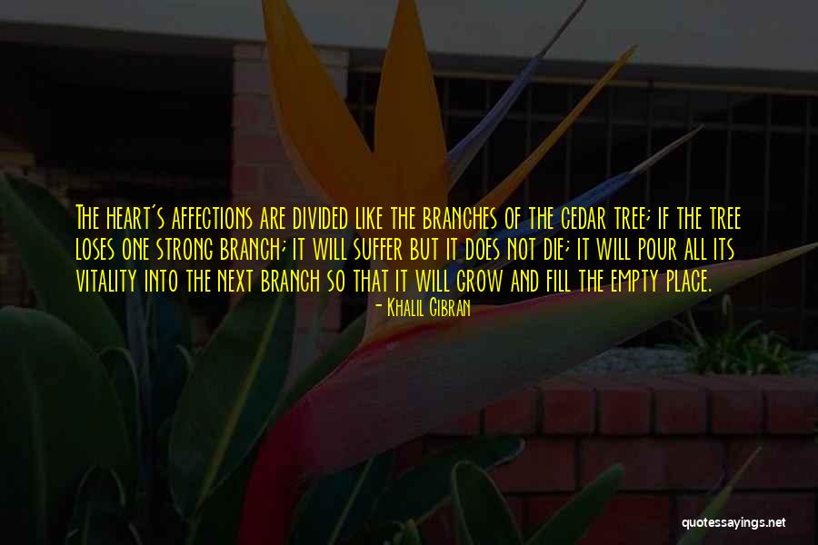 Campanelli Ymca Quotes By Khalil Gibran Campanelli Ymca Quotes By Khalil Gibran