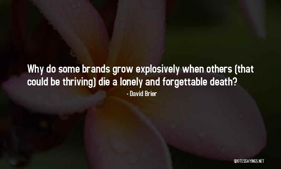 Campertunity Quotes By David Brier Campertunity Quotes By David Brier