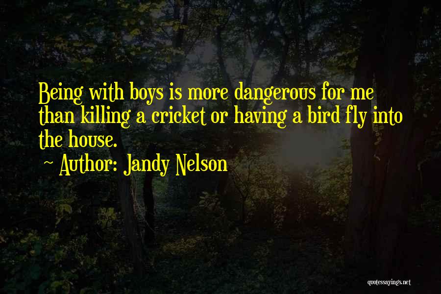 Campervans Quotes By Jandy Nelson