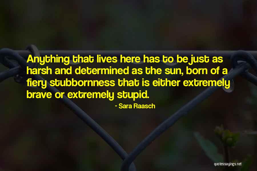 Campezzi Pizza Quotes By Sara Raasch Campezzi Pizza Quotes By Sara Raasch