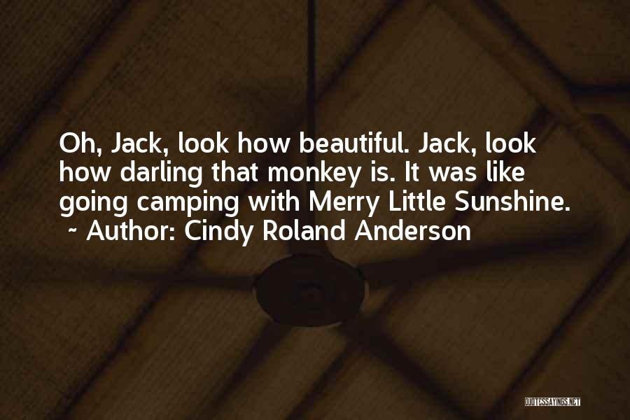 Camping Funny Quotes By Cindy Roland Anderson