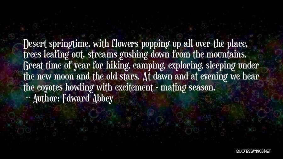 Camping Under The Stars Quotes By Edward Abbey