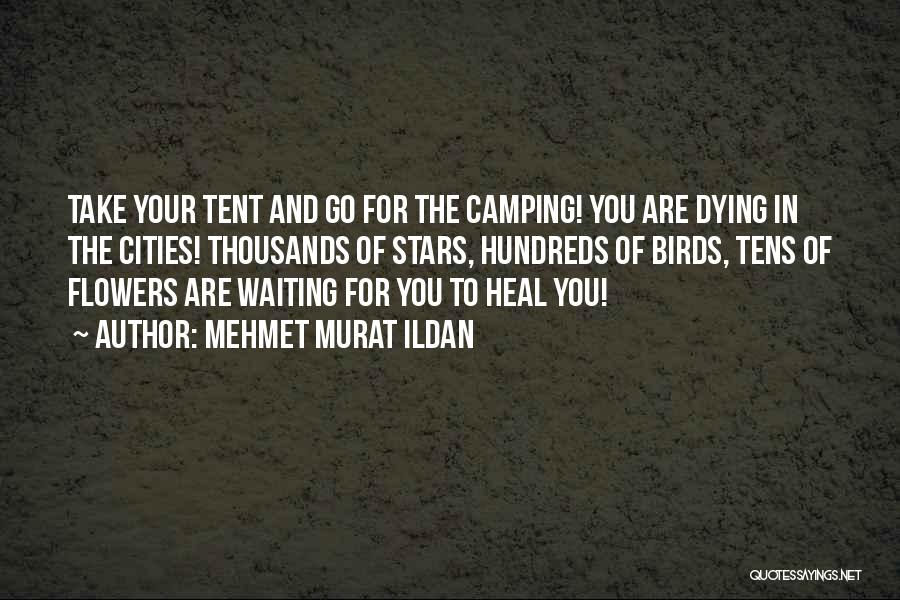 Camping Under The Stars Quotes By Mehmet Murat Ildan