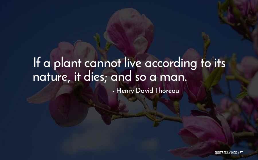 Campionato Di Quotes By Henry David Thoreau Campionato Di Quotes By Henry David Thoreau