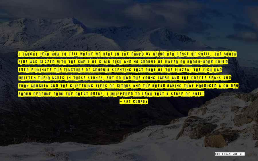Campo Quotes By Pat Conroy Campo Quotes By Pat Conroy