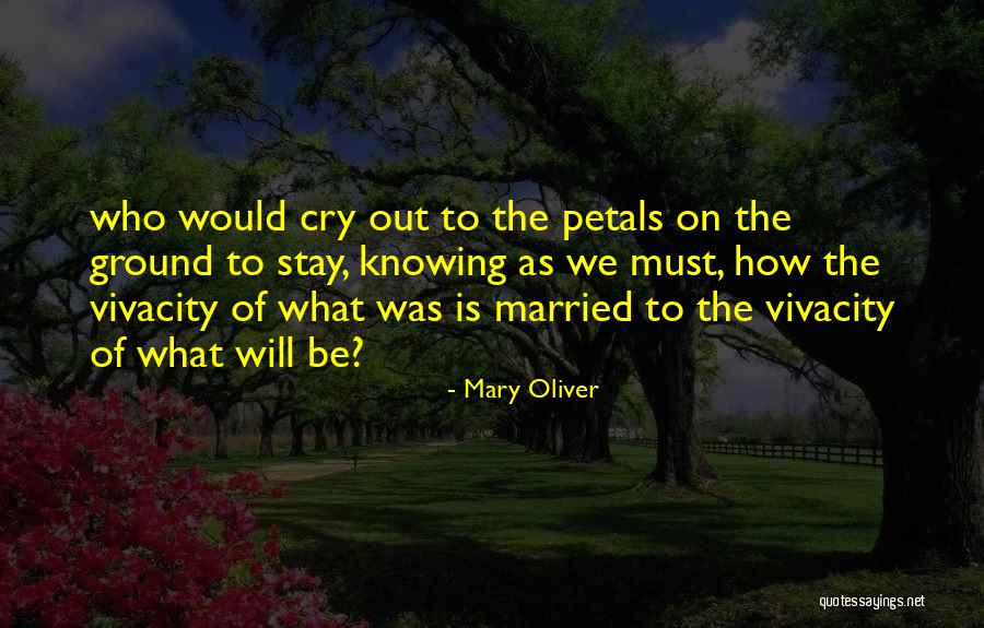 Campopiano Family Crest Quotes By Mary Oliver Campopiano Family Crest Quotes By Mary Oliver