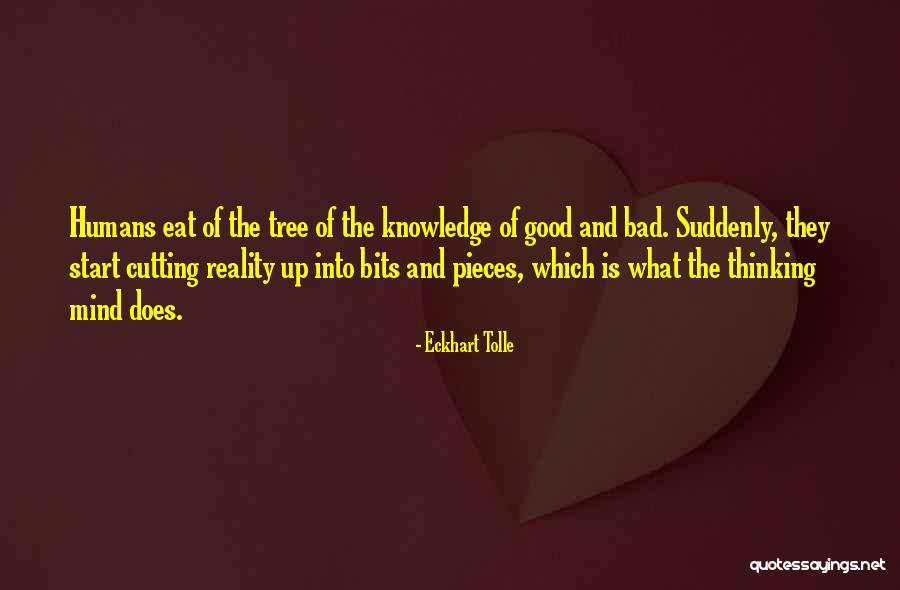 Campoverde Vallarta Quotes By Eckhart Tolle Campoverde Vallarta Quotes By Eckhart Tolle