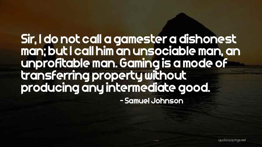 Campsites On The Beach Quotes By Samuel Johnson
