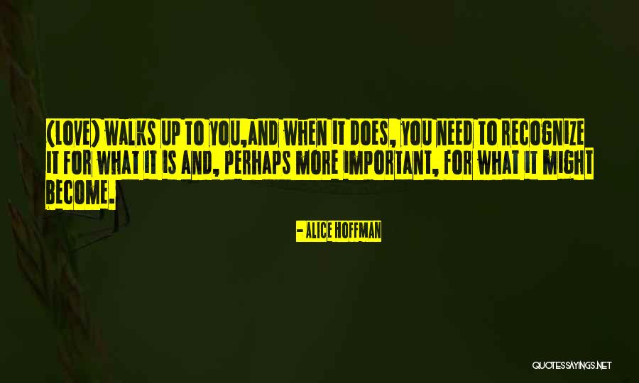 Camrin Kindle Quotes By Alice Hoffman Camrin Kindle Quotes By Alice Hoffman