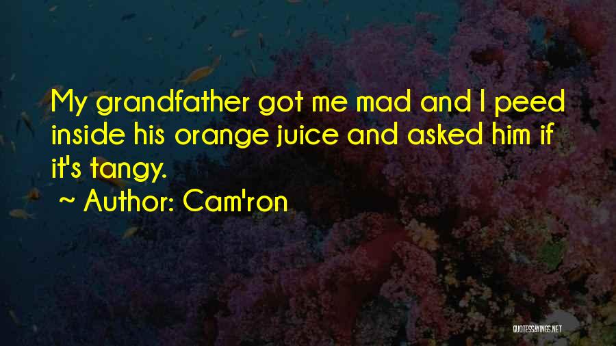 Cam'ron Quotes 1740238