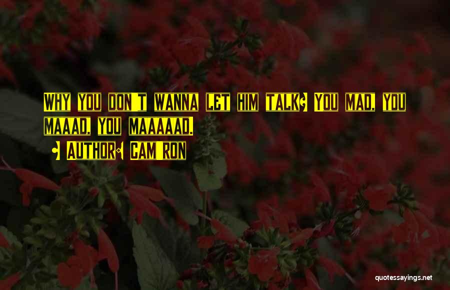 Cam'ron Quotes 474496