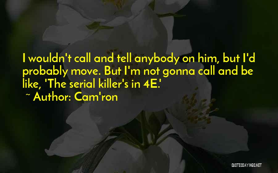 Cam'ron Rapper Quotes By Cam'ron