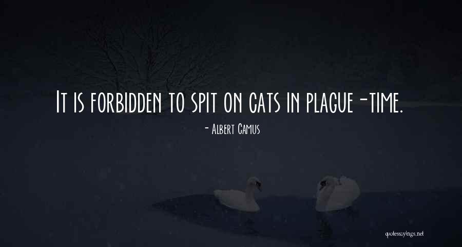 Camus Plague Quotes By Albert Camus