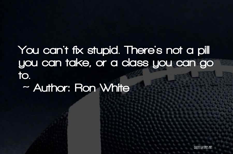Can Fix Stupid Quotes By Ron White